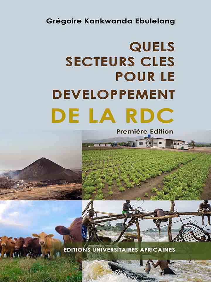 Image du livre intitulé : Quels secteurs clés pour le développement de la RDC